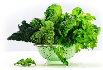 Book-Green-Leafy-Veggetables
