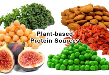 vegan-protein