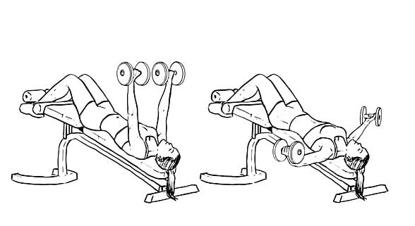 chest-decline-fly