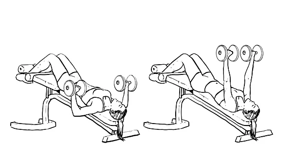 chest-decline